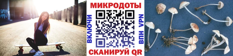 Псилоцибиновые грибы Psilocybine cubensis  Чудово 